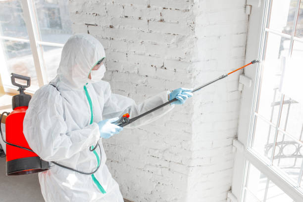 Best Comprehensive Air Testing for Mold Contaminants in Arlington, OH